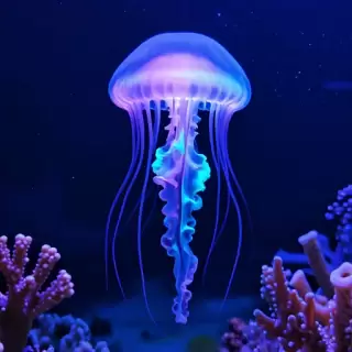 Neon Jellyfish Drift