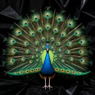 Neon Peacock Glory