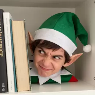 Bad Elf on the Shelf
