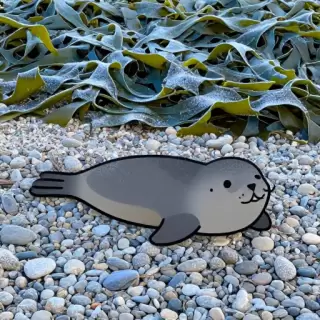 Vector Seal on Icy Shingle Beach