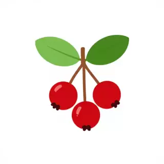 Berry Branch Delight