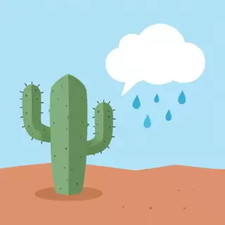 Conversation Between a Cactus and a Raincloud