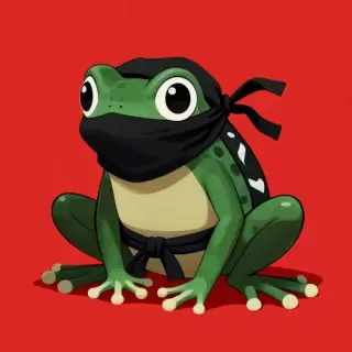 Ninja Stealth Frog