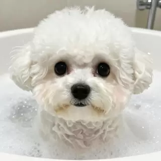 Bubble Bath Time