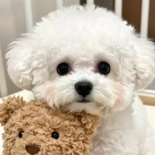 With Teddy Bear