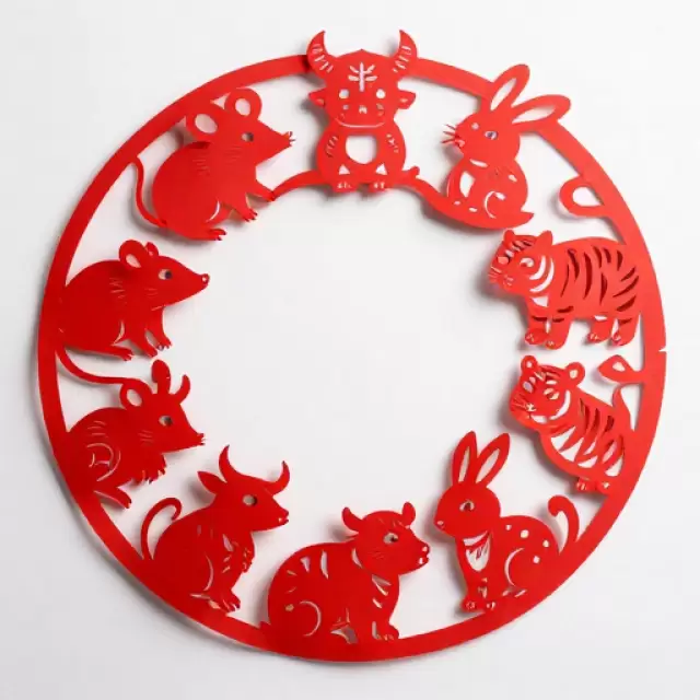 Paper-Cut Menagerie