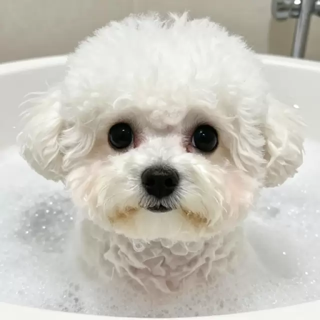 Bubble Bath Time